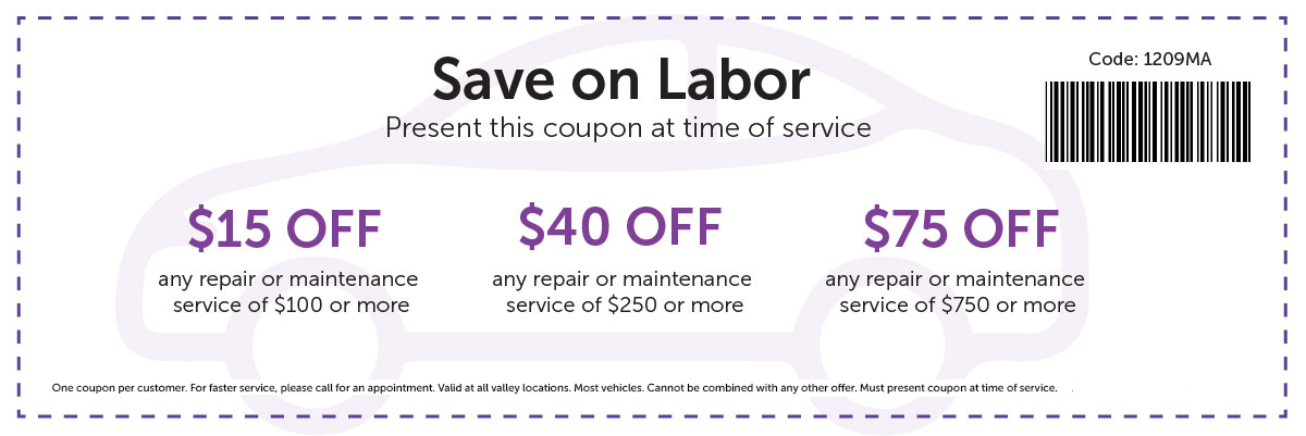 Save on Labor Special
