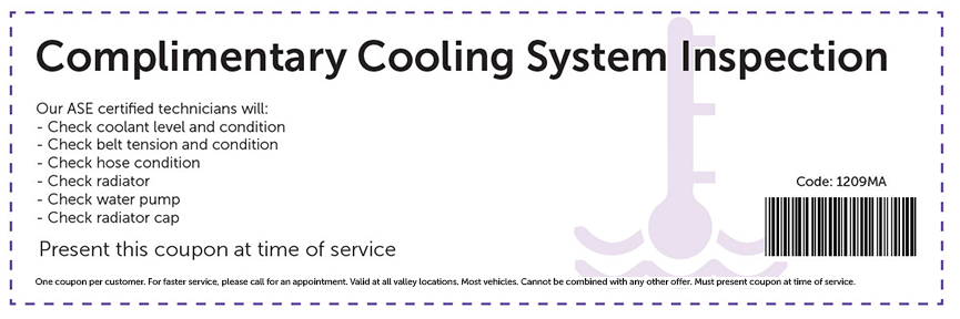 Complimentary Cooling System Inspection Special