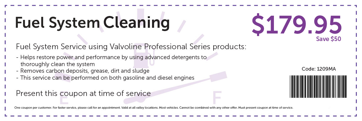 Fuel System Cleaning Special