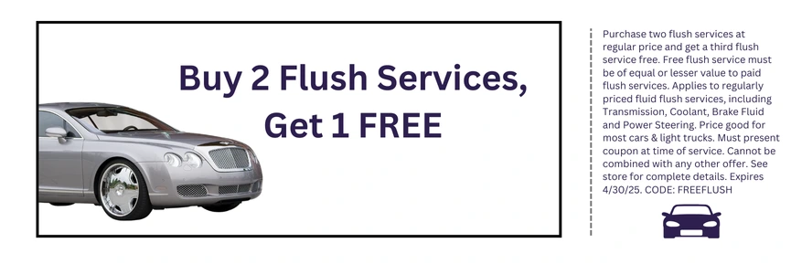 Buy 2 Flush Services, Get 1 FREE
