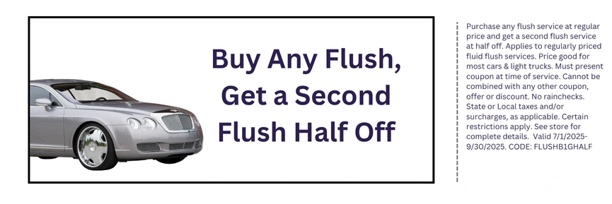 Buy Any Flush, Get 2nd Half Off